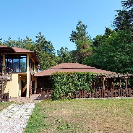 Guest House Black Sea Picunda Kültér fotó